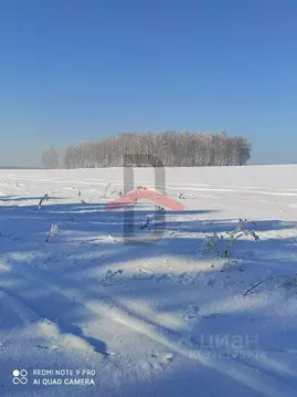 Участок в Красноярский край, Емельяновский муниципальный округ, с. ...