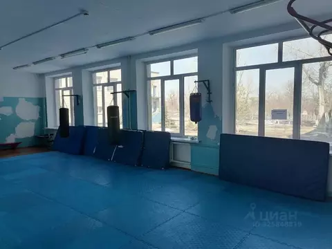 Помещение свободного назначения в Волгоградская область, Камышин ул. ...