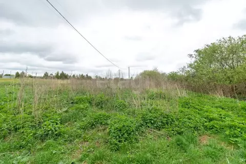 Участок в Тюменская область, Нижнетавдинский муниципальный округ, ...