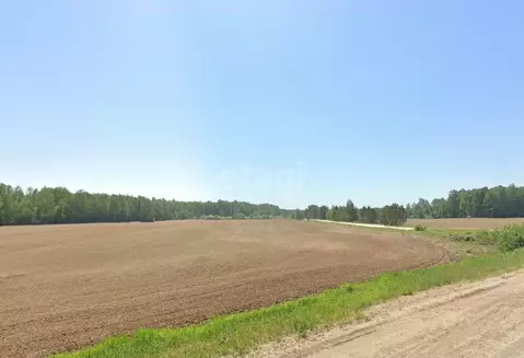 Участок в Свердловская область, Каменский муниципальный округ, д. ...