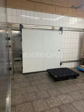 Производственное помещение в Новосибирская область, Новосибирский ...