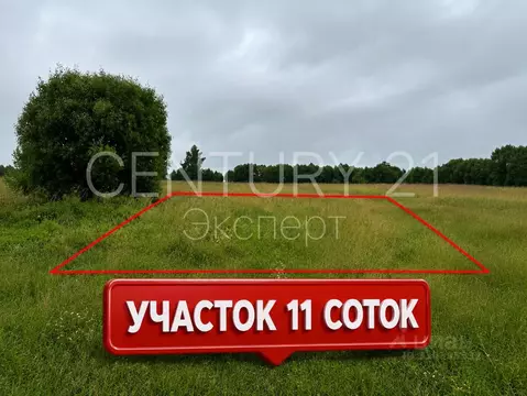 Участок в Калининградская область, Зеленоградский муниципальный округ, ...