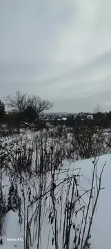 Участок в Орловская область, Орловский муниципальный округ, д. ...