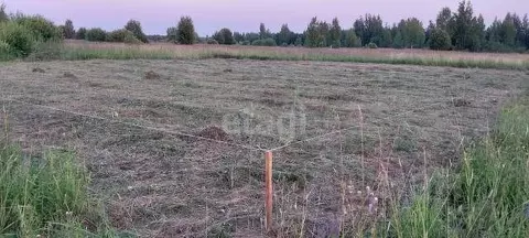 Участок в Костромская область, Кострома ул. Родная (10.63 сот.)