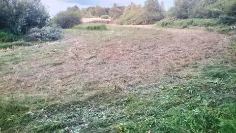 Участок в Московская область, Клин городской округ, Заповедное Озеро ...