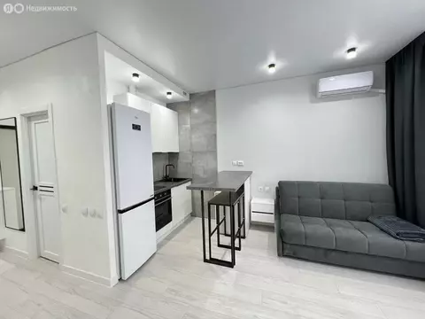 Квартира-студия: Ростов-на-Дону, улица Ткачёва, 38с2 (26 м)