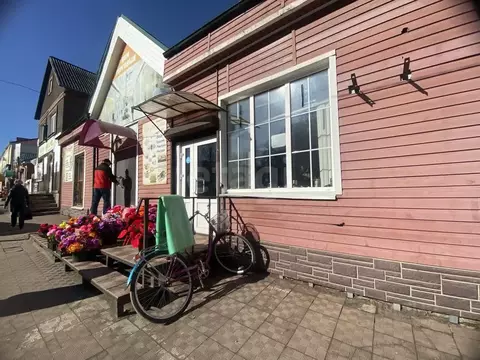 Торговая площадь в Смоленская область, Демидов Советская ул., 11 (298 ...