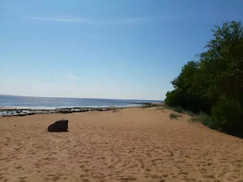 Участок в Ленинградская область, Выборгский район, Первомайское с/пос, ...