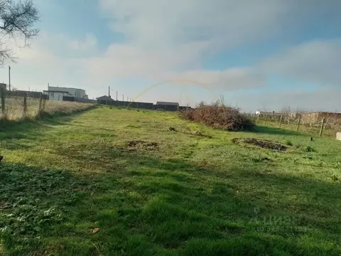 Участок в Крым, Симферопольский район, с. Родниково ул. Механизаторов, ...