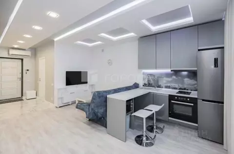 Студия Новосибирская область, Новосибирск ул. Сибревкома, 9 (49.0 м)