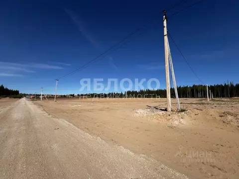 Участок в Пермский край, Березники муниципальное образование, пос. ...