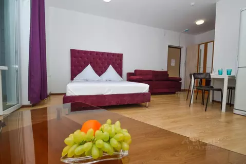 1-к кв. Свердловская область, Екатеринбург ул. Стрелочников, 2 (27.0 ...