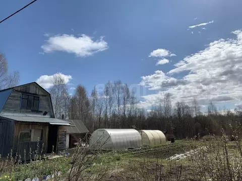 Дом в Костромская область, Костромской район, Самсоновское с/пос, ...