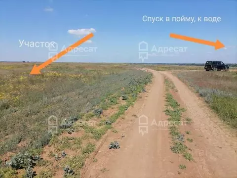 Участок в Волгоградская область, Светлоярский район, с. Райгород  ...