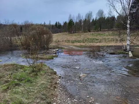 Участок в Карелия, Сортавальский муниципальный округ, пос. Лавиярви  ...