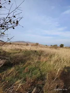 Участок в Хакасия, Усть-Абакан рп ул. Октябрьская (6.4 сот.)