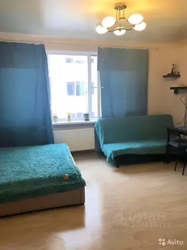 Студия Ленинградская область, Всеволожск ул. Шевченко, 18К3 (30.0 м)