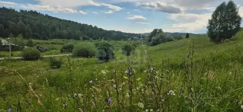 Участок в Алтай, Майминский район, с. Верх-Карагуж  (10.0 сот.)