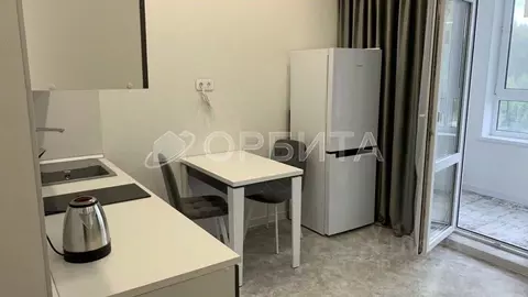 Студия Тюменская область, Тюменский район, д. Дударева ул. Сергея ...