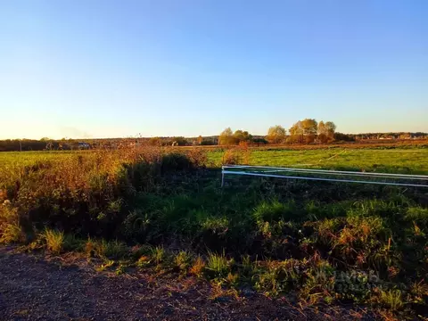 Участок в Московская область, Истра муниципальный округ, д. Загорье, ...