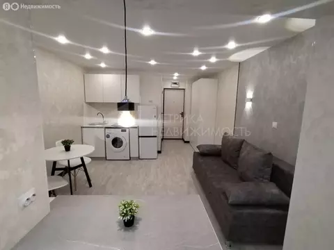 Квартира-студия: Тюмень, улица Червишевский Тракт, 84 (21 м)