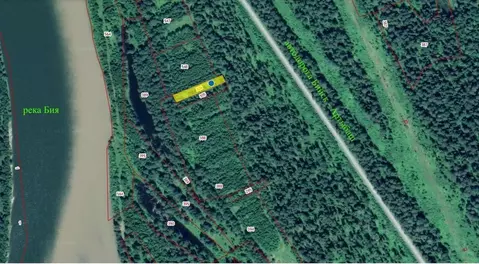 Участок в Алтай, Турочакский район, с. Турочак  (15.0 сот.)