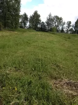 Участок в Ярославская область, Некрасовское с/пос, д. Шишелово  (15.0 ...