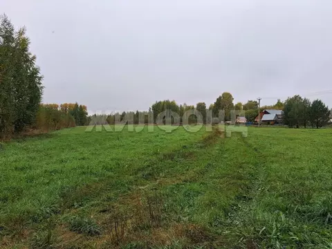 Участок в Новосибирская область, Новосибирский район, Станционный ...