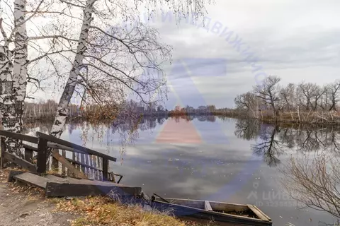 Дом в Курганская область, с. Кетово, Заря СНТ 94 (83 м)