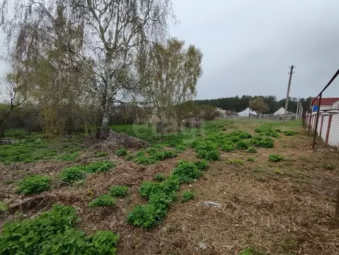 Участок в Саратовская область, Балашовский район, с. Репное Пионерская ...