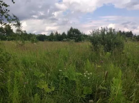 Участок в Московская область, Истра муниципальный округ, д. Адуево  ...