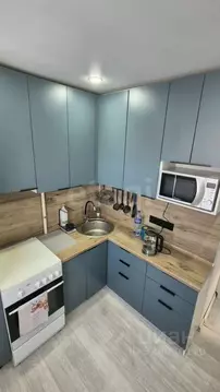 1-к кв. Пермский край, Пермь ул. Крисанова, 18Б (31.0 м)