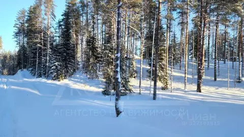 Участок в Ленинградская область, Всеволожский район, Куйвозовское ...