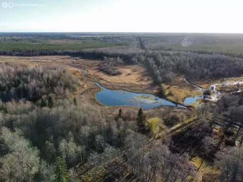 Участок в Волосовский район, Большеврудское сельское поселение, ...
