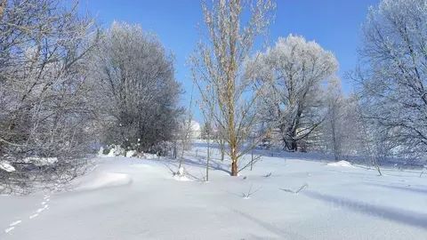 Участок в Московская область, Раменский муниципальный округ, д. ...