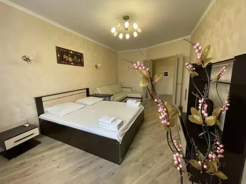 1-к кв. Брянская область, Брянск Красноармейская ул., 42 (50.0 м)