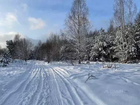 Участок в Тверская область, Кимрский муниципальный округ, д. Крева  ...