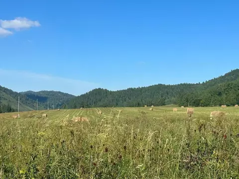 Участок в Алтай, Чемальский район, пос. Верх-Анос  (10.0 сот.)