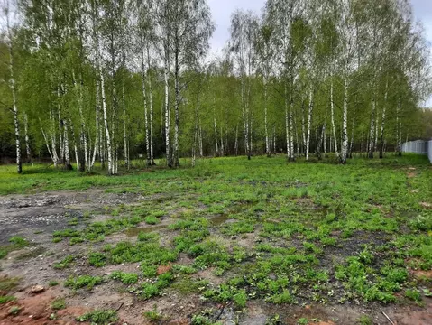 Участок в Омская область, Омский район, с. Троицкое  (12.5 сот.)