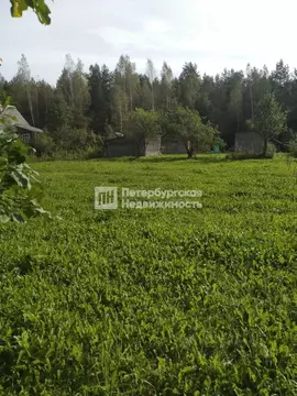 Участок в Ленинградская область, Гатчинский муниципальный округ, пос. ...
