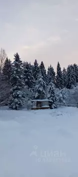 Участок в Карелия, Сортавальский муниципальный округ, пос. Мейери  ...