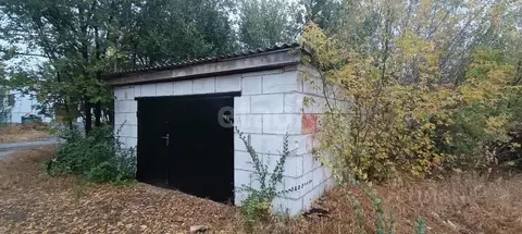 Помещение свободного назначения в Белгородская область, Вейделевка рп ...