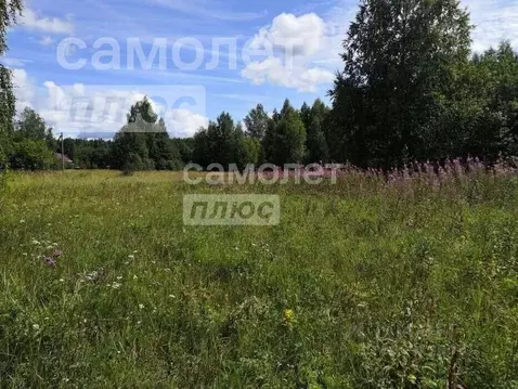 Участок в Вологодская область, Усть-Кубинский муниципальный округ, д. ...