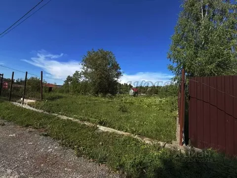 Участок в Алтай, Майминский район, пос. Дубровка ул. Сафронова (10.0 ...