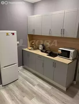1-комнатная квартира: Тюмень, улица Раушана Абдуллина, 2к1 (37 м)