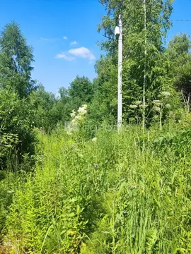 Участок в Новосибирская область, Новосибирский район, Барышевский ...