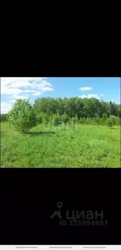 Участок в Псковская область, Печорский муниципальный округ, д. ...