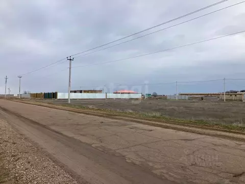 Участок в Крым, Сакский район, Молочненское с/пос, с. Витино  (8.34 ...