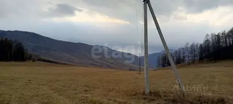 Участок в Алтай, Усть-Канский район, с. Владимировка  (2950.0 сот.)