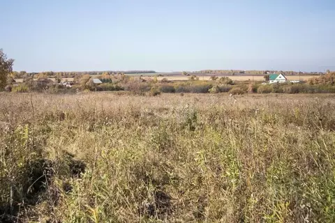 Участок в Новосибирская область, Искитимский район, пос. ...